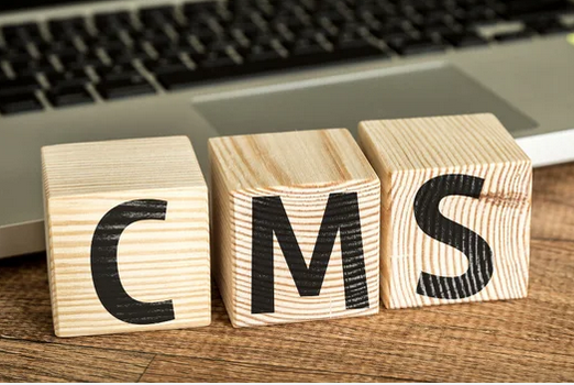 CMS in Website Management With a Spotlight on WordPress and Shopify